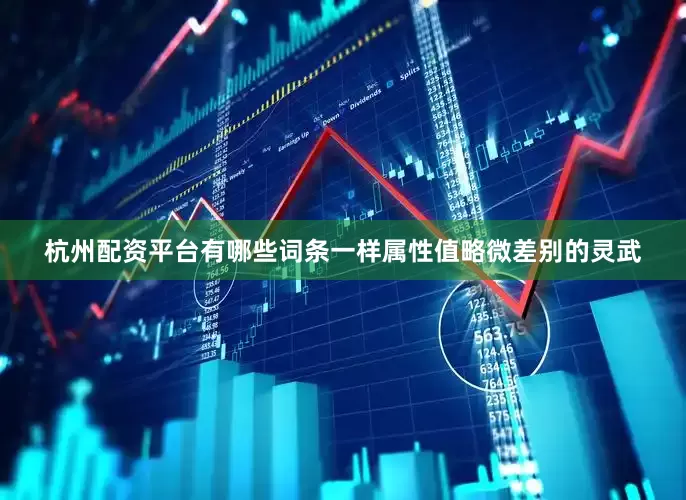 杭州配资平台有哪些词条一样属性值略微差别的灵武